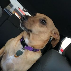 Meet your Posher, Megan